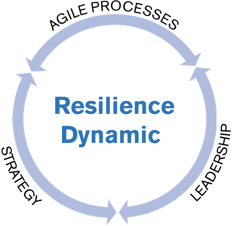 Resilient Dynamism model